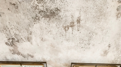 Design by DM Interiors Photo