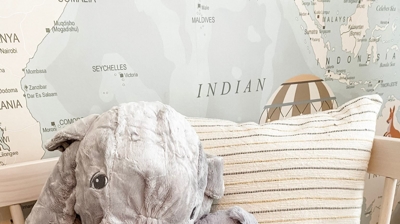 Design by DM Interiors Photo